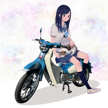 スーパーカブプロ(C110BN9, JA07)の走破性を検証: CUBれてます