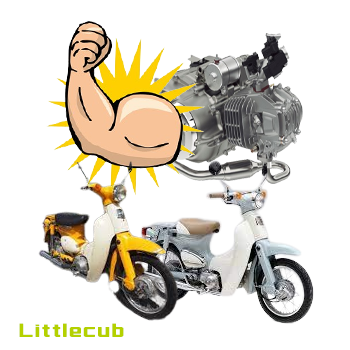 リトルカブで行って来た房総半島一周: CUBれてます