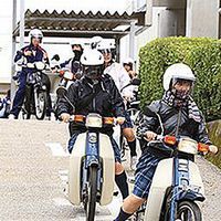 スーパーカブと種子島の高校生 Cubれてます